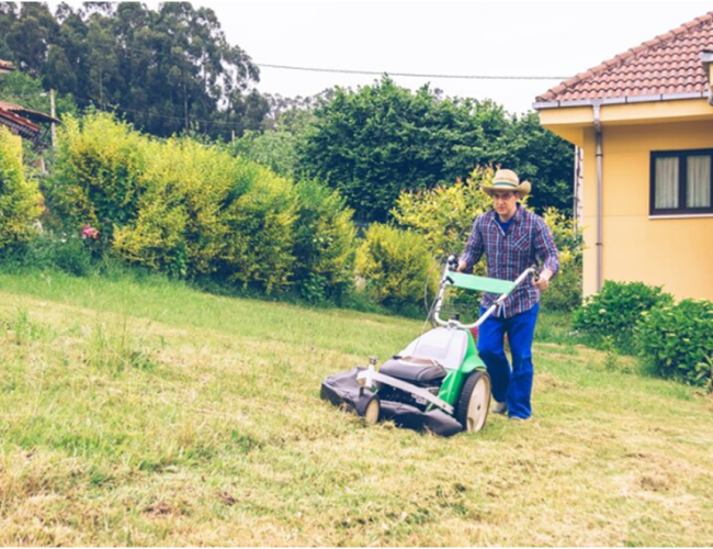 Getting Your Place Ready for a Beautiful Lawn