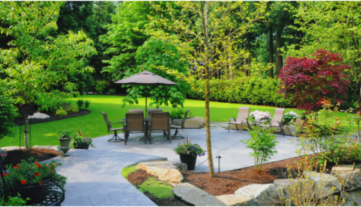 5 Reasons Absolute Lawn Pros Is a Leading Landscaping Company in Suwanee
